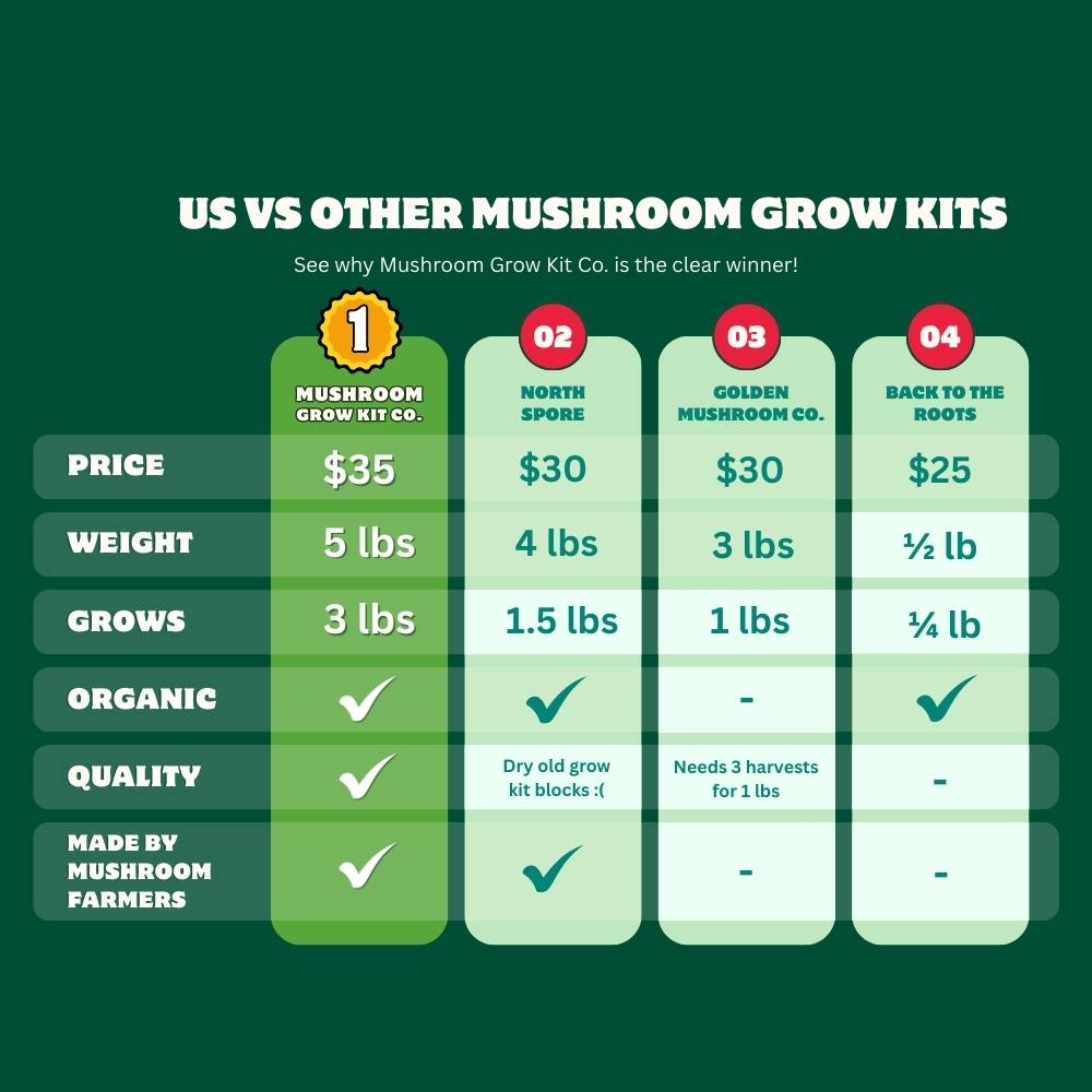 Pink Oyster Mushroom Growing Kit - 5 LBS Spray and Grow