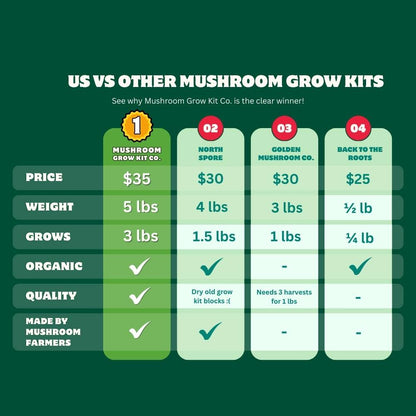 Pink Oyster Mushroom Growing Kit - 5 LBS Spray and Grow